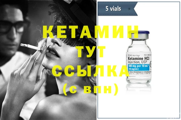 сатива Осташков