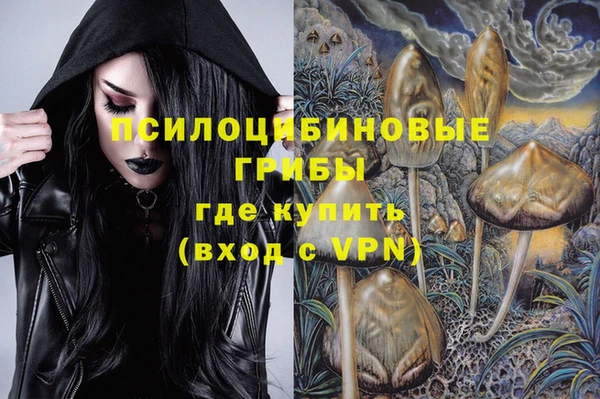 сатива Осташков
